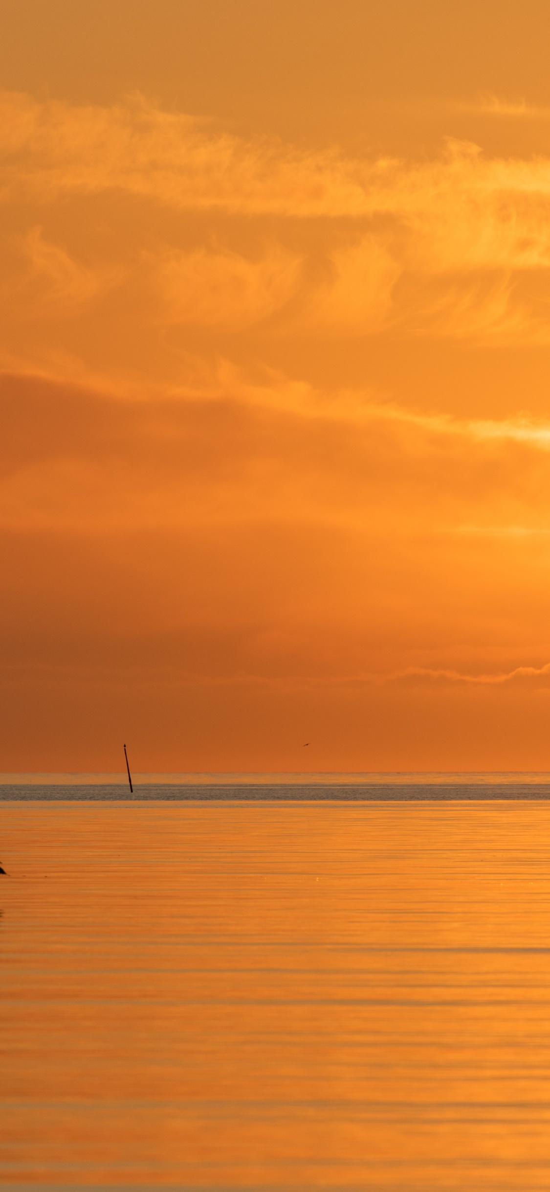 Обои море, спокойный, послесвечение, восход солнца, вечер в разрешении 1125x2436