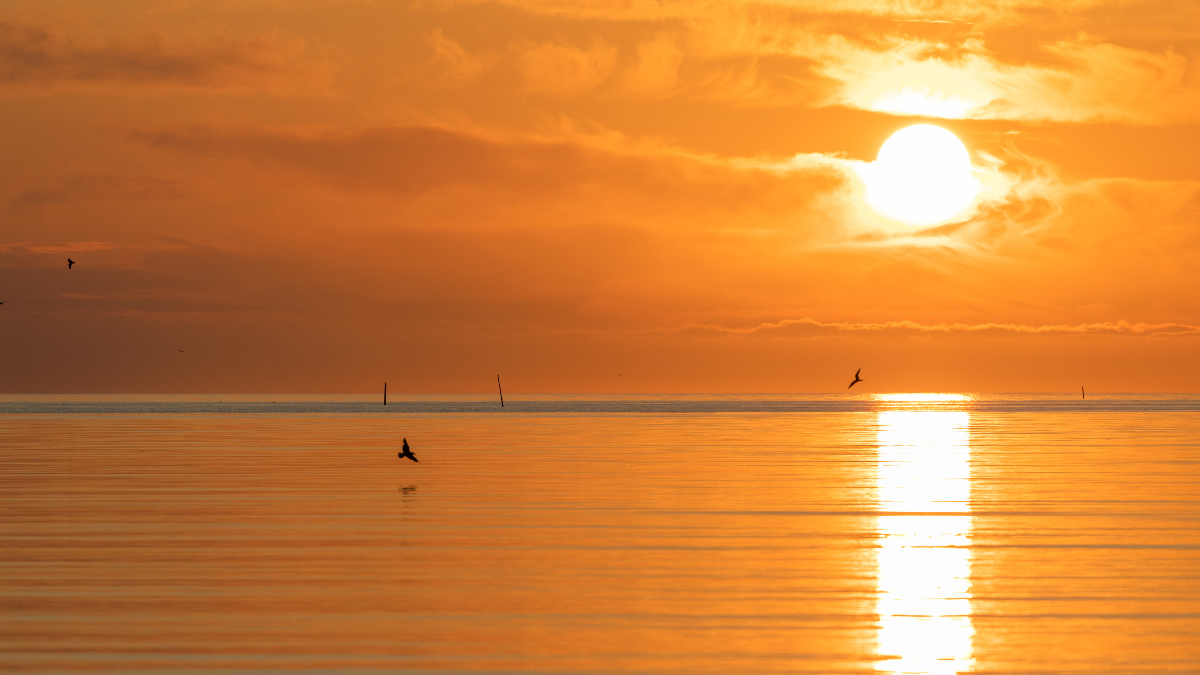 Обои море, спокойный, послесвечение, восход солнца, вечер в разрешении 3840x2160