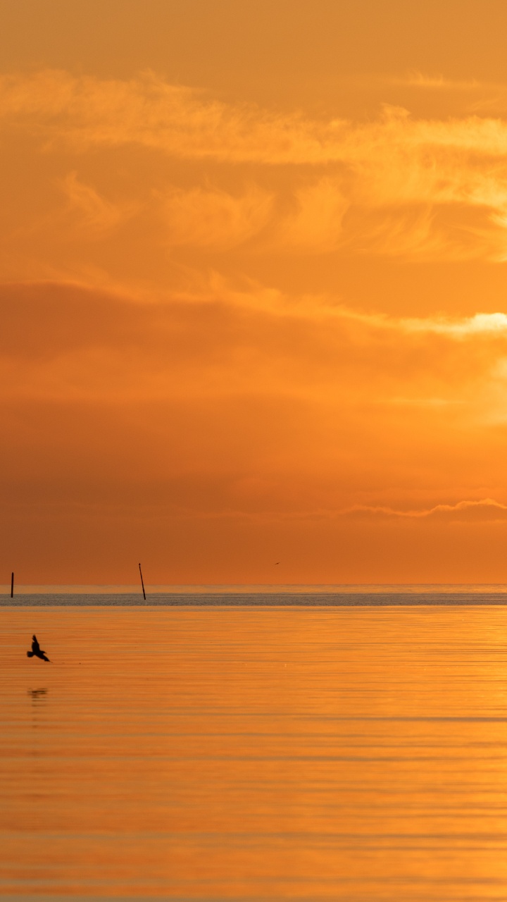 Обои море, спокойный, послесвечение, восход солнца, вечер в разрешении 720x1280