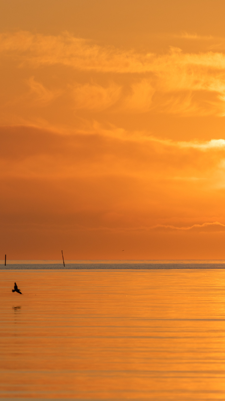 Обои море, спокойный, послесвечение, восход солнца, вечер в разрешении 750x1334