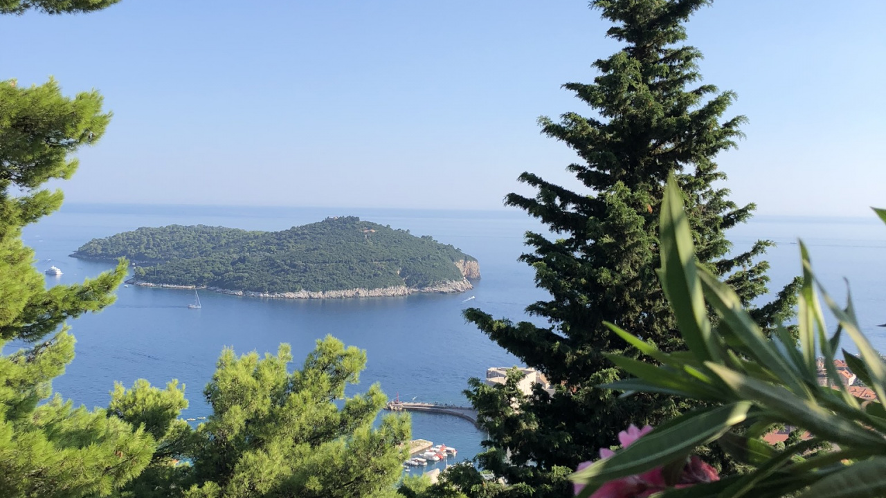 Обои растительность, пейзажи гор, биология, наука, природный ландшафт в разрешении 1280x720