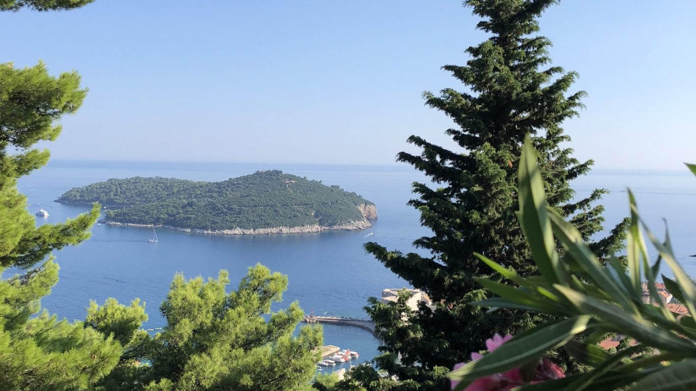 Обои растительность, пейзажи гор, биология, наука, природный ландшафт в разрешении 1366x768