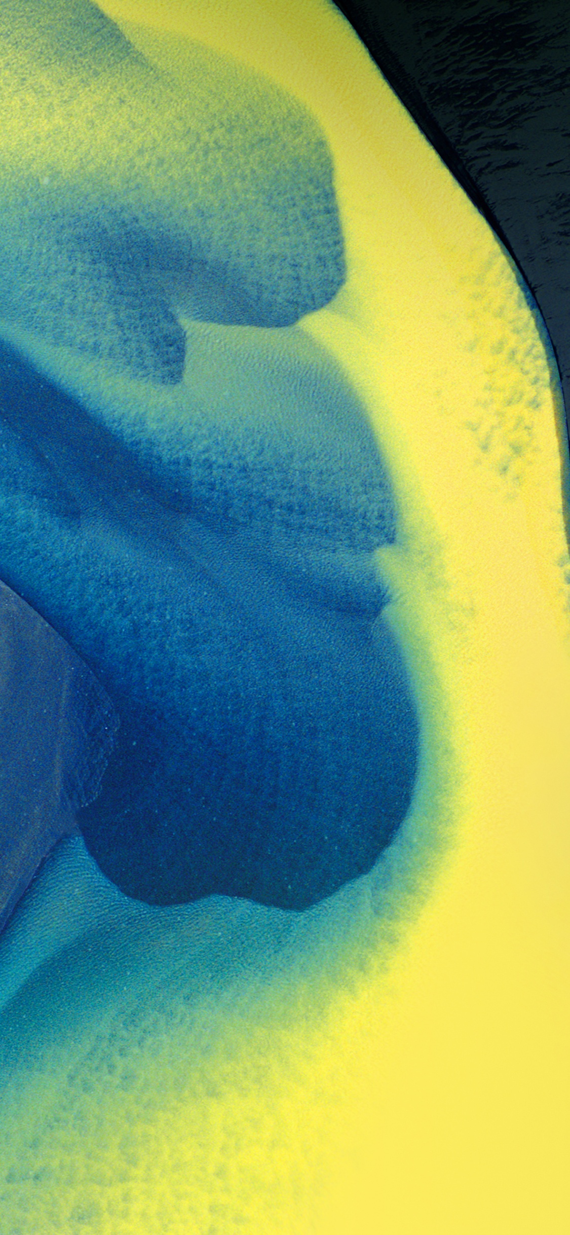 Обои синий, желтый, вода, Аква, иллюстрация в разрешении 1125x2436