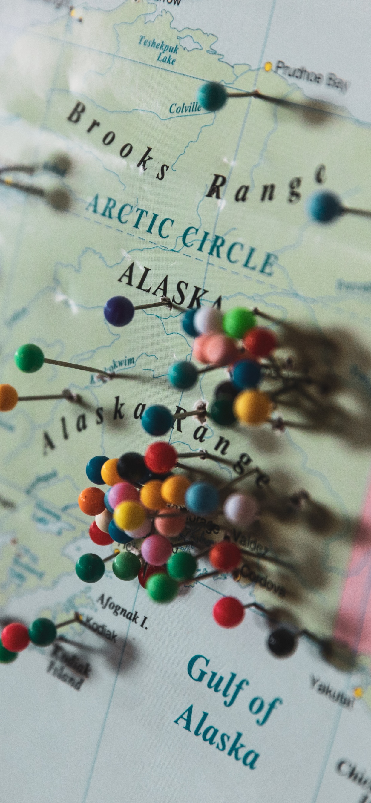 Обои текст, карта, мир, арт, измеритель в разрешении 1242x2688