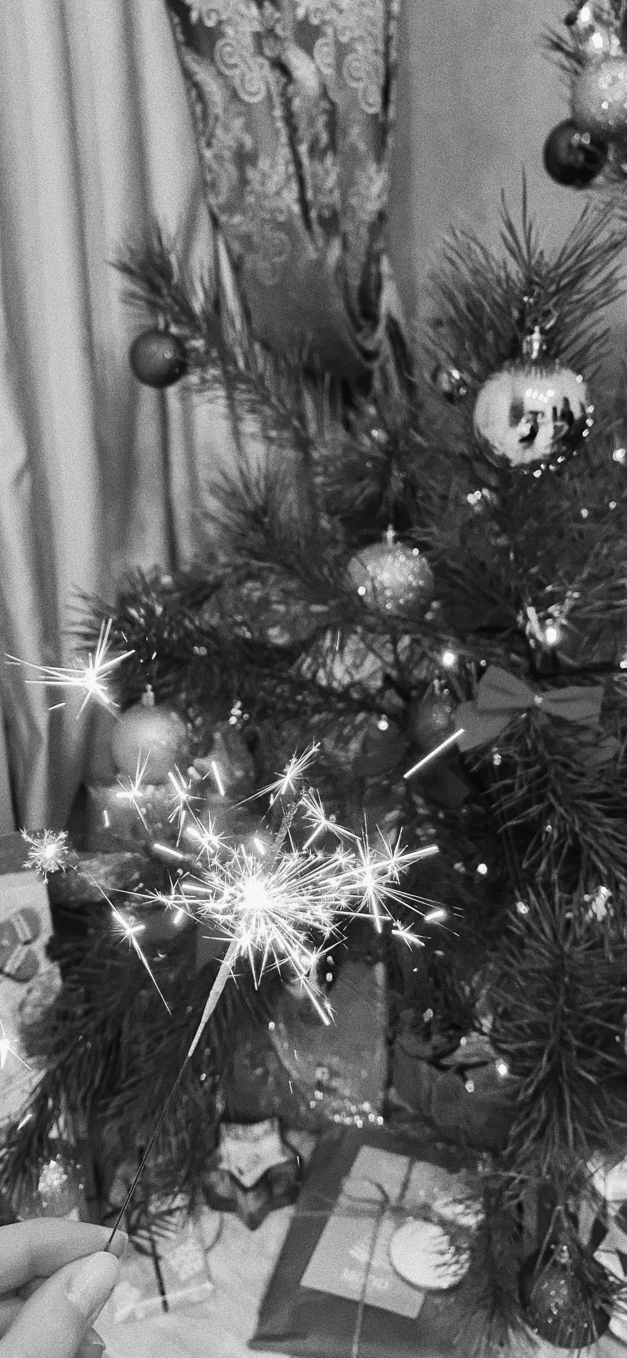 Обои елка, Рождественский день, черный и белый, Рождественские украшения, пихта в разрешении 1242x2688