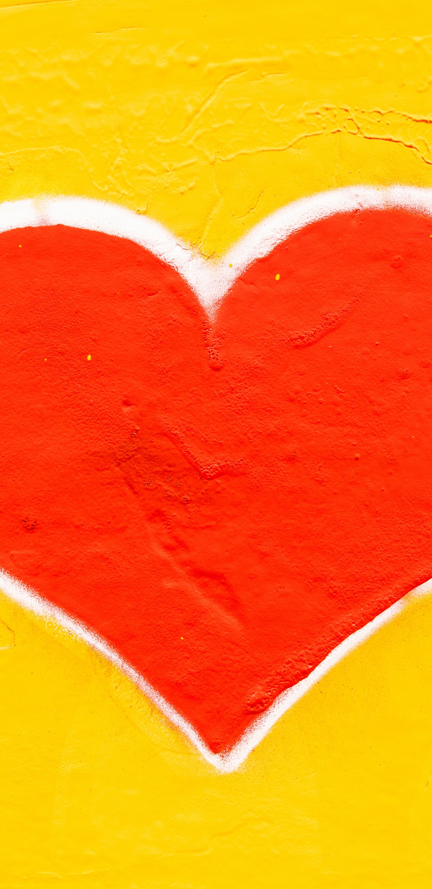 Обои сердце, здоровье сердца, ССЗ, сердечный приступ, человеческое тело в разрешении 1440x2960