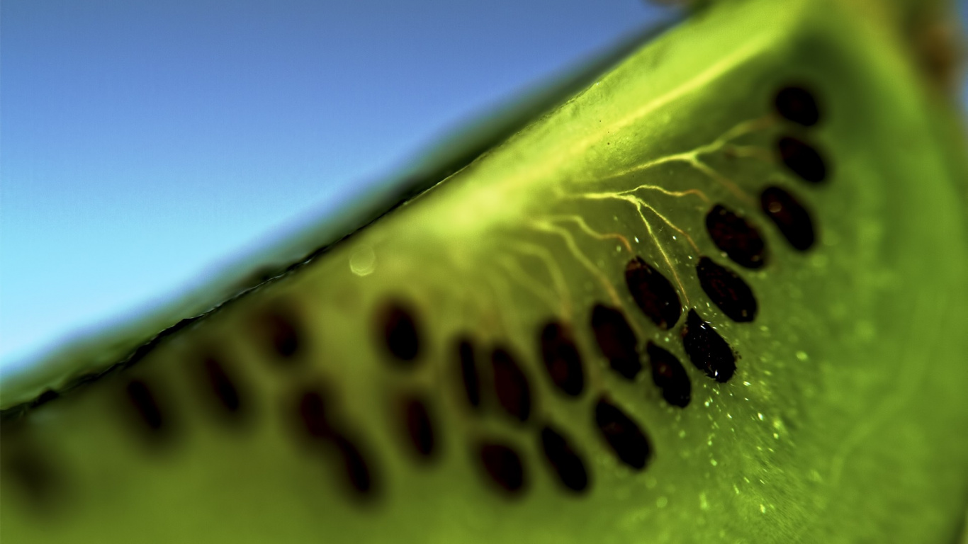 Обои зеленый, фрукты, капли, вода, фрукт в разрешении 1366x768