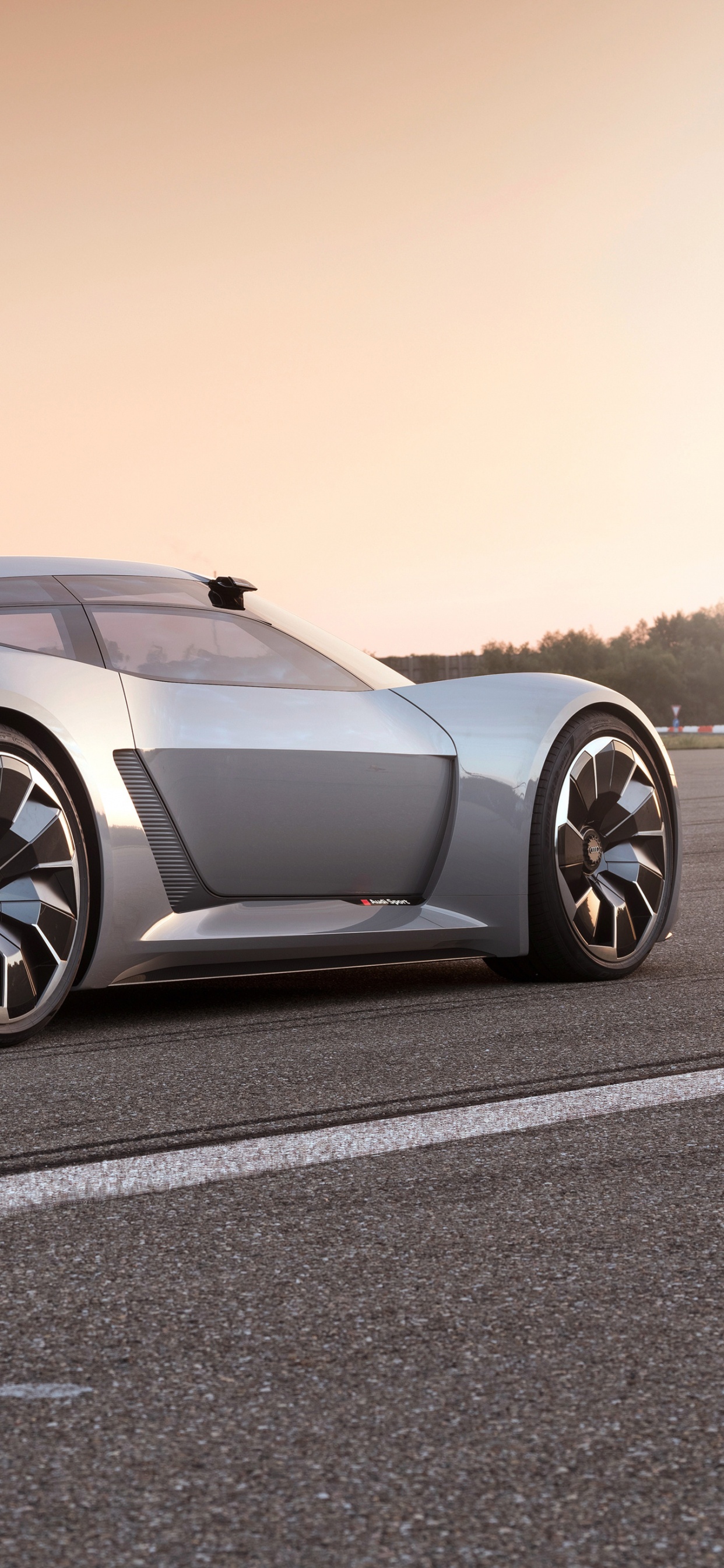 Обои спорткар, авто, audi, audi r8, PB18 Ауди е-трон в разрешении 1242x2688