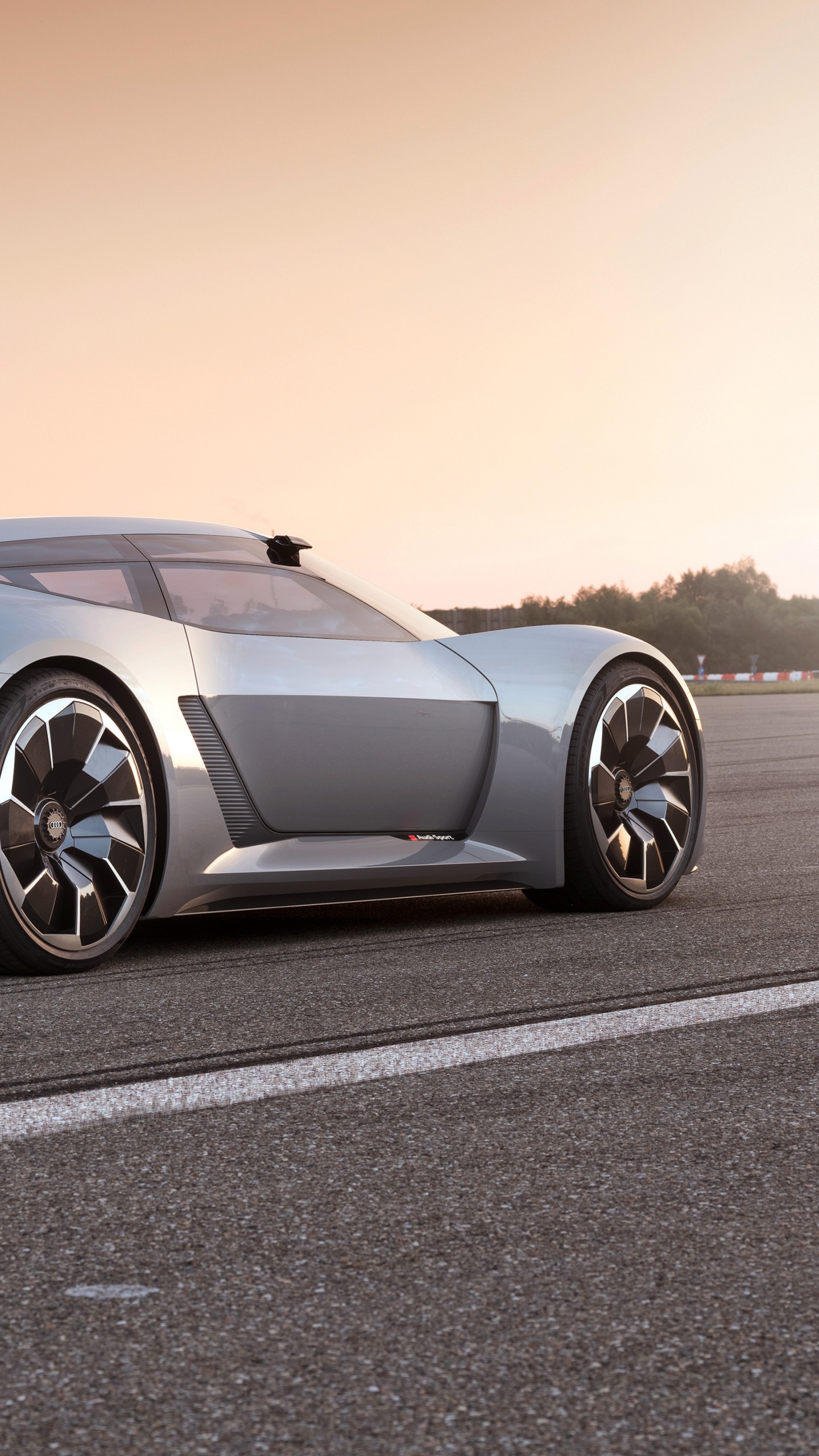 Обои спорткар, авто, audi, audi r8, PB18 Ауди е-трон в разрешении 1440x2560