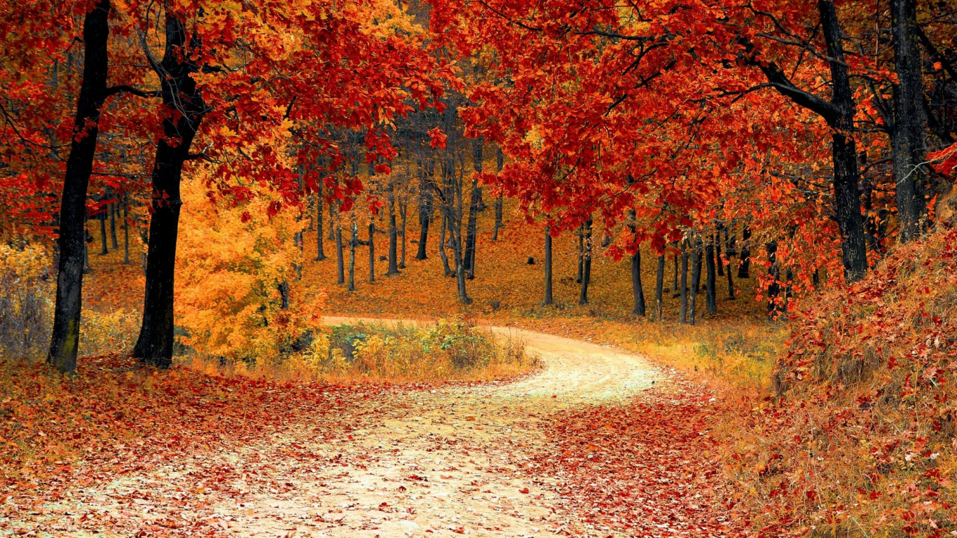 Обои осень праздничная, осень, праздник, Праздник середины осени, коричневый цвет в разрешении 1366x768