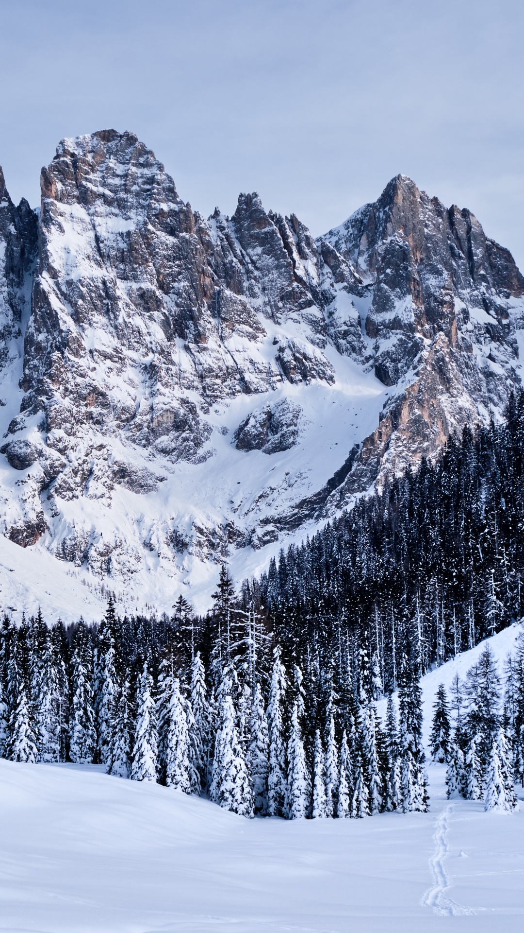 Обои группа пала, горный рельеф, снег, гора, зима в разрешении 1080x1920