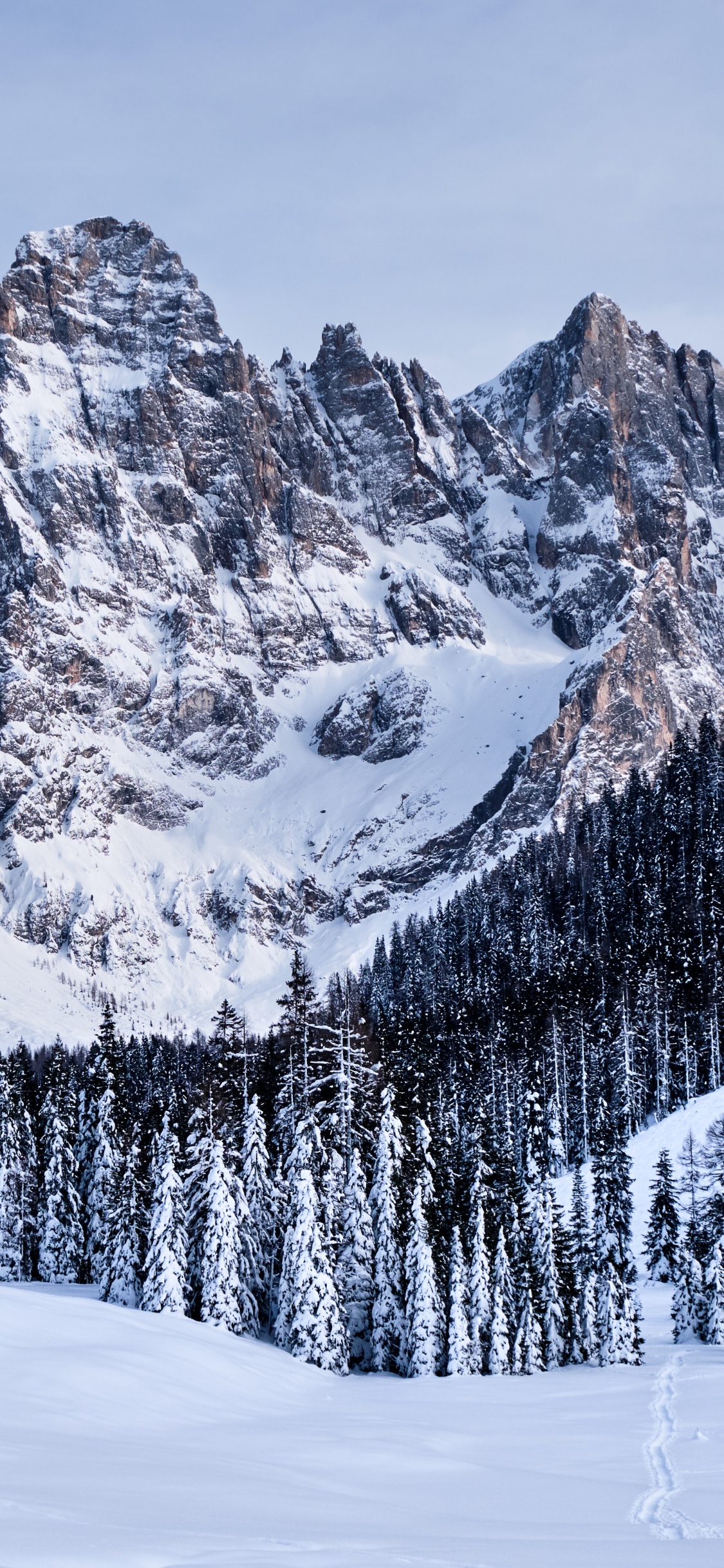 Обои группа пала, горный рельеф, снег, гора, зима в разрешении 1125x2436