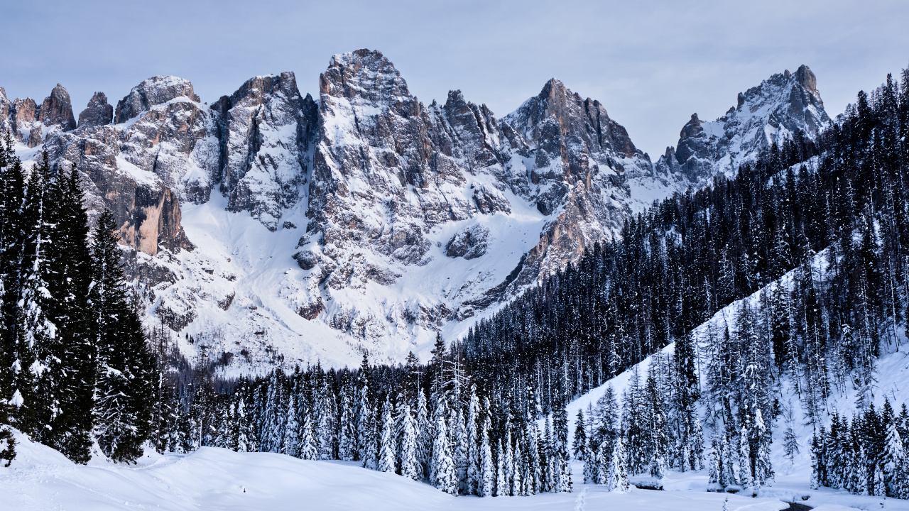 Обои группа пала, горный рельеф, снег, гора, зима в разрешении 1280x720