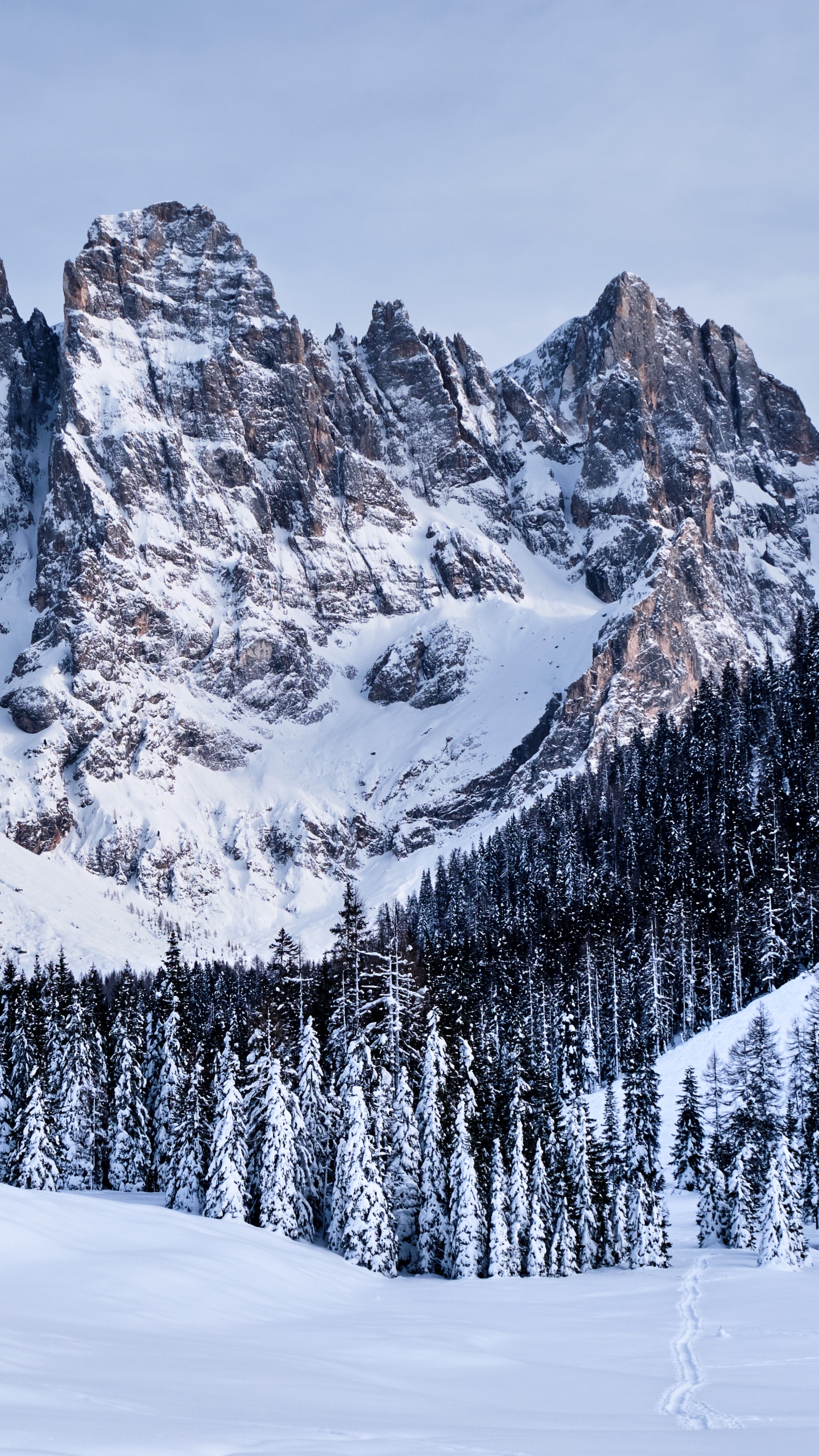 Обои группа пала, горный рельеф, снег, гора, зима в разрешении 1440x2560