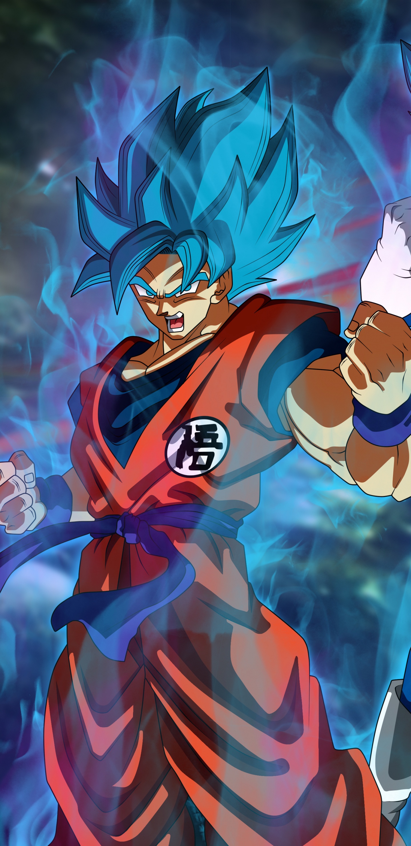 Обои гоку, вегета, аниме, иллюстрация, арт в разрешении 1440x2960