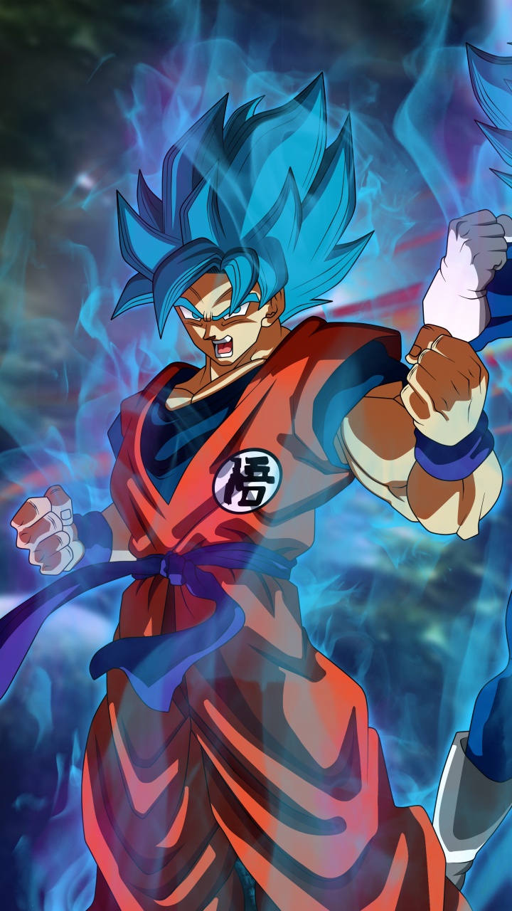 Обои гоку, вегета, аниме, иллюстрация, арт в разрешении 720x1280