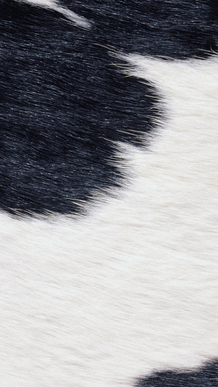 Обои мех, белые, ткань, морда, кожа в разрешении 720x1280