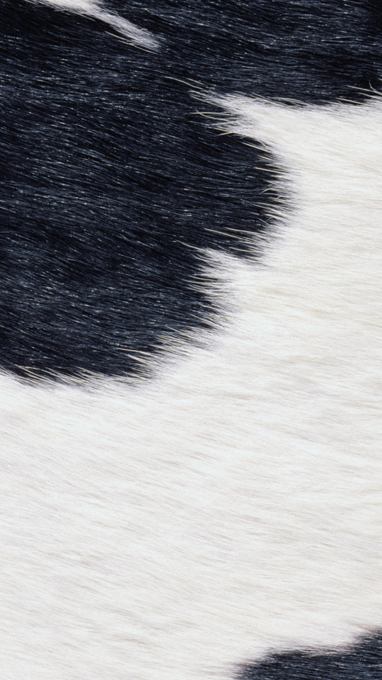 Обои мех, белые, ткань, морда, кожа в разрешении 750x1334