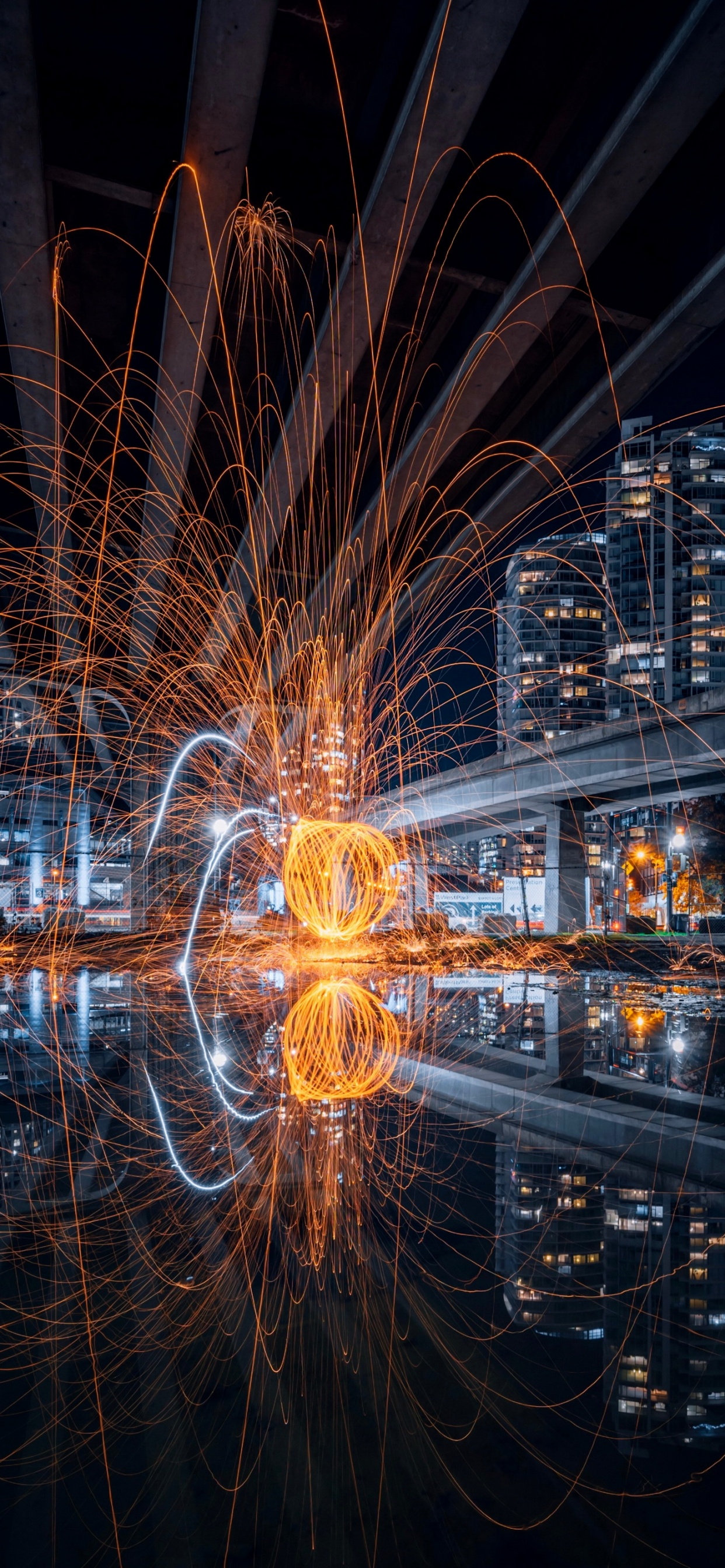 Обои отражение, вода, электричество, дерево, симметрия в разрешении 1242x2688