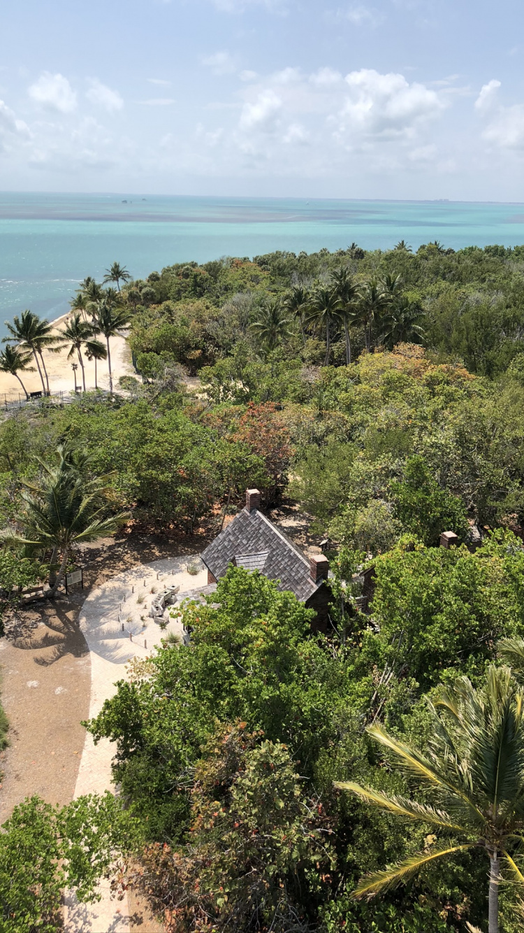 Обои растительность, туризм, растительное сообщество, побережье, горизонт в разрешении 750x1334