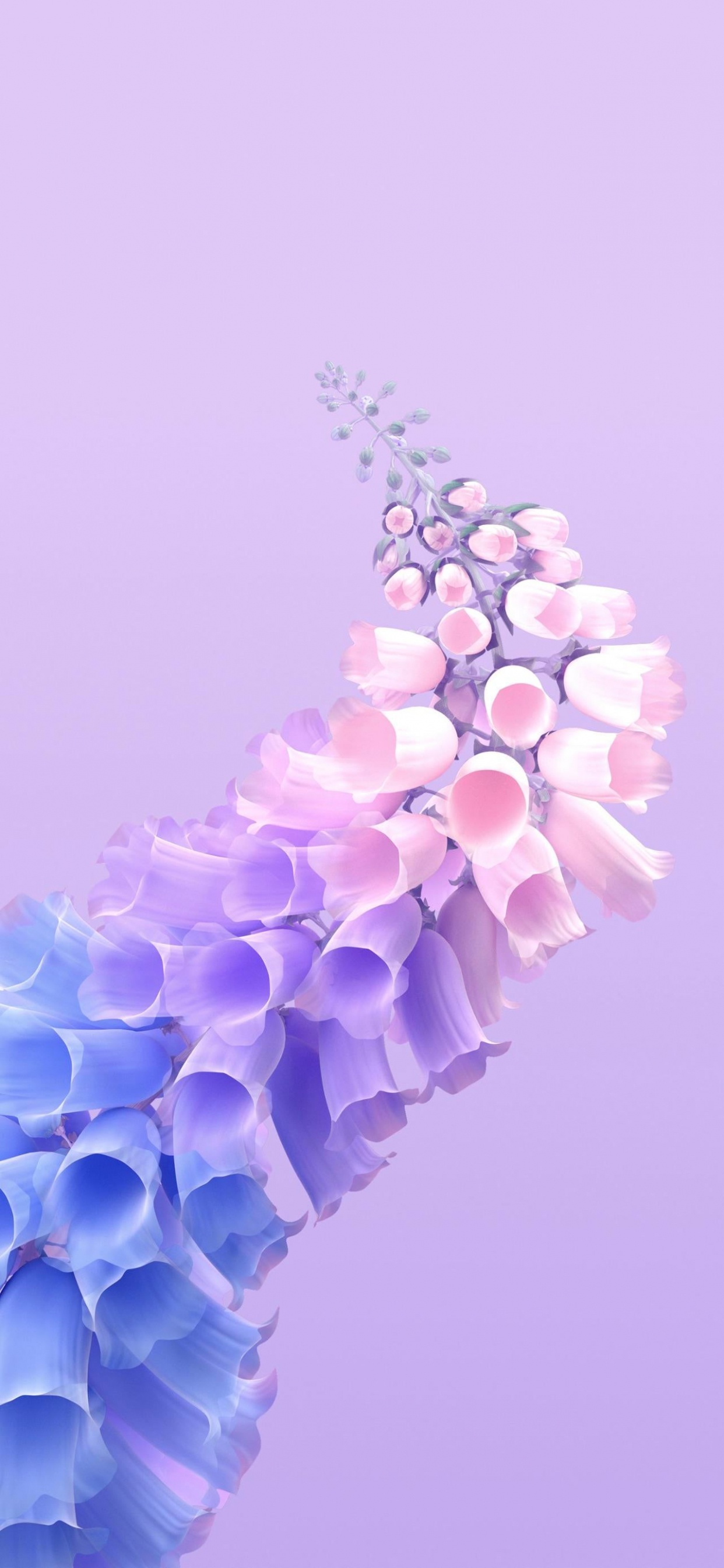 Обои виво х60 про, я живу т1х, Жив, смартфон, андроид в разрешении 1242x2688