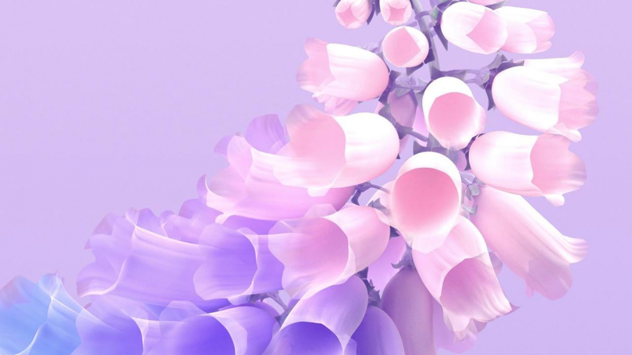 Обои виво х60 про, я живу т1х, Жив, смартфон, андроид в разрешении 1280x720