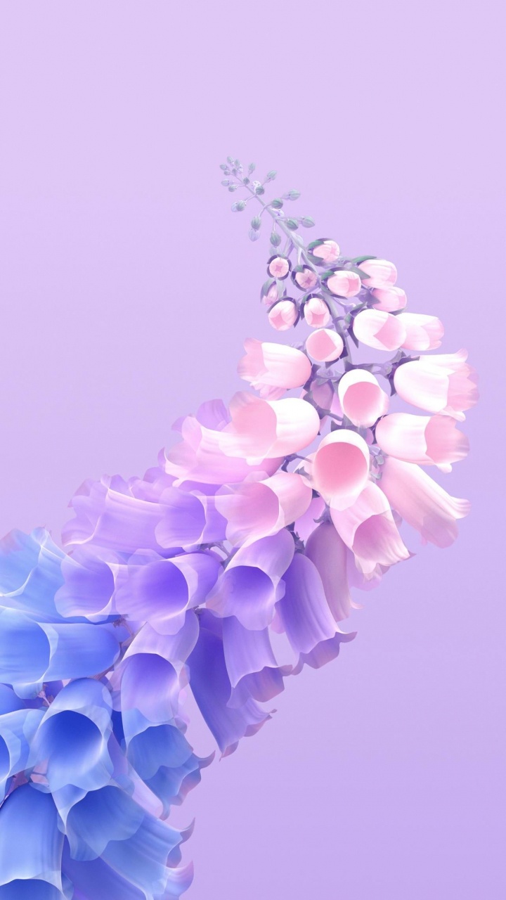 Обои виво х60 про, я живу т1х, Жив, смартфон, андроид в разрешении 720x1280