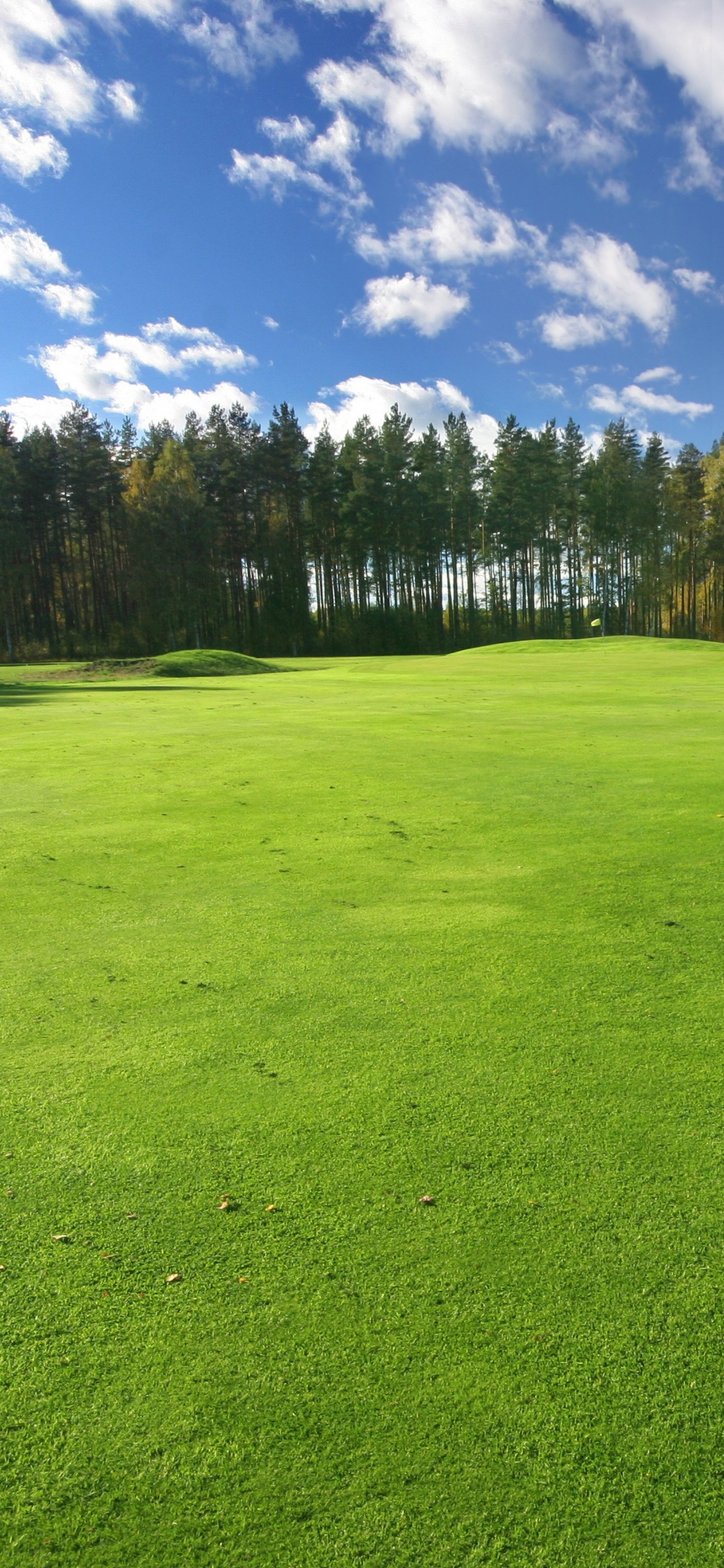 Обои сенокосное угодье, земельный участок, газон, гольф-клуб, пейзаж в разрешении 1242x2688