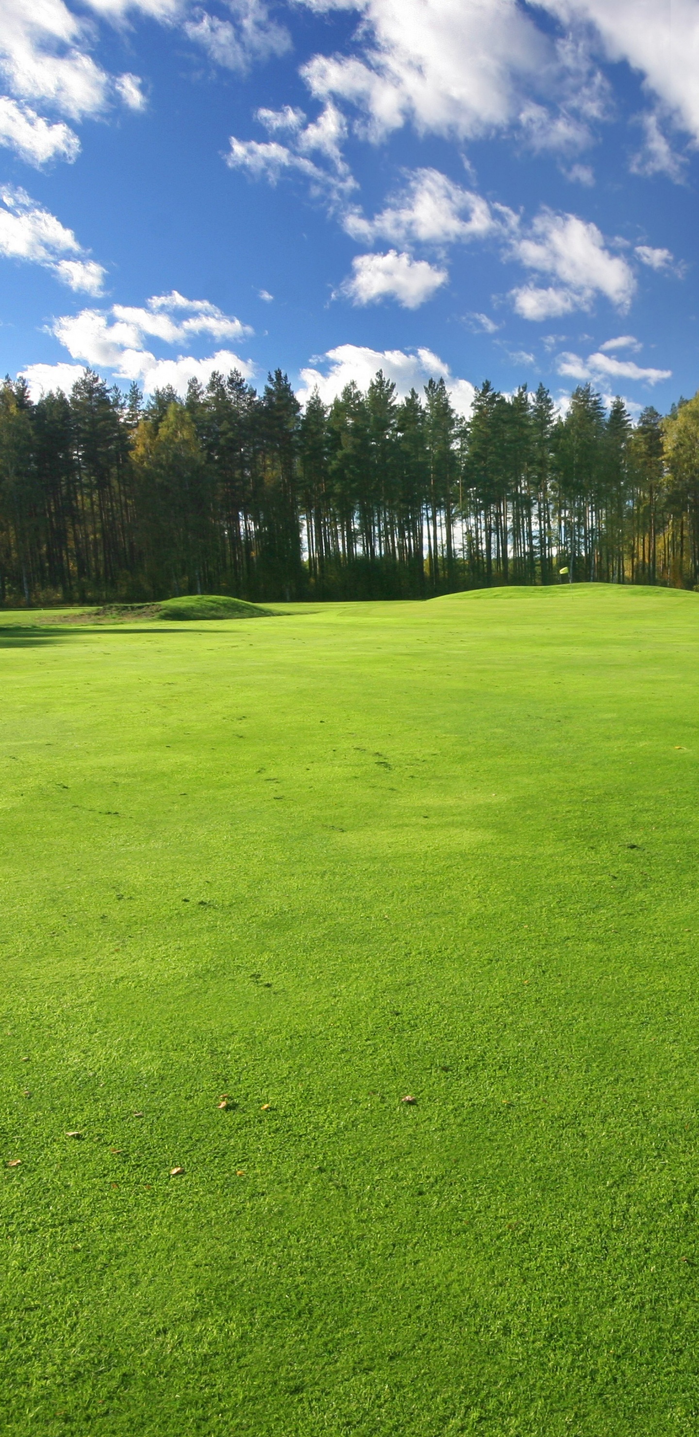 Обои сенокосное угодье, земельный участок, газон, гольф-клуб, пейзаж в разрешении 1440x2960