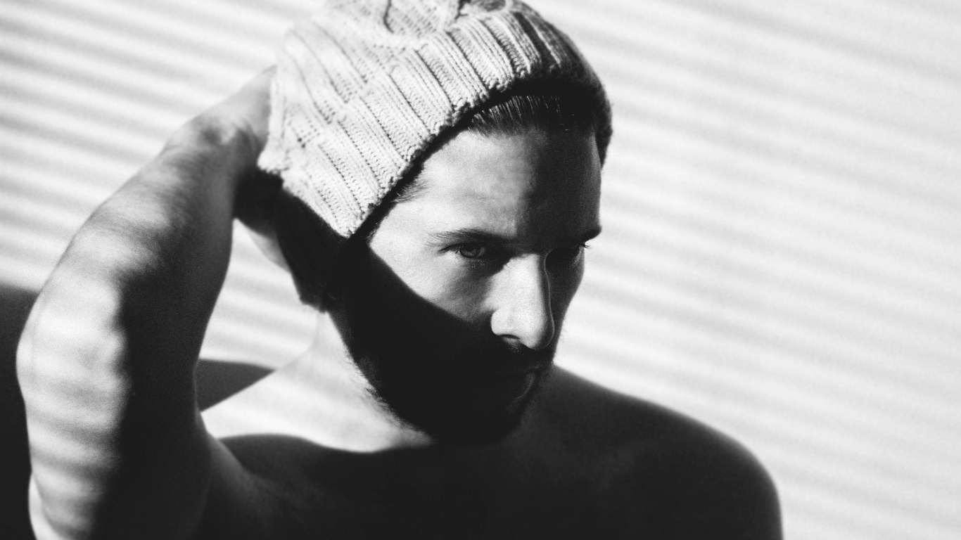 Обои черный и белый, черный, белые, шея, шерсть в разрешении 1366x768