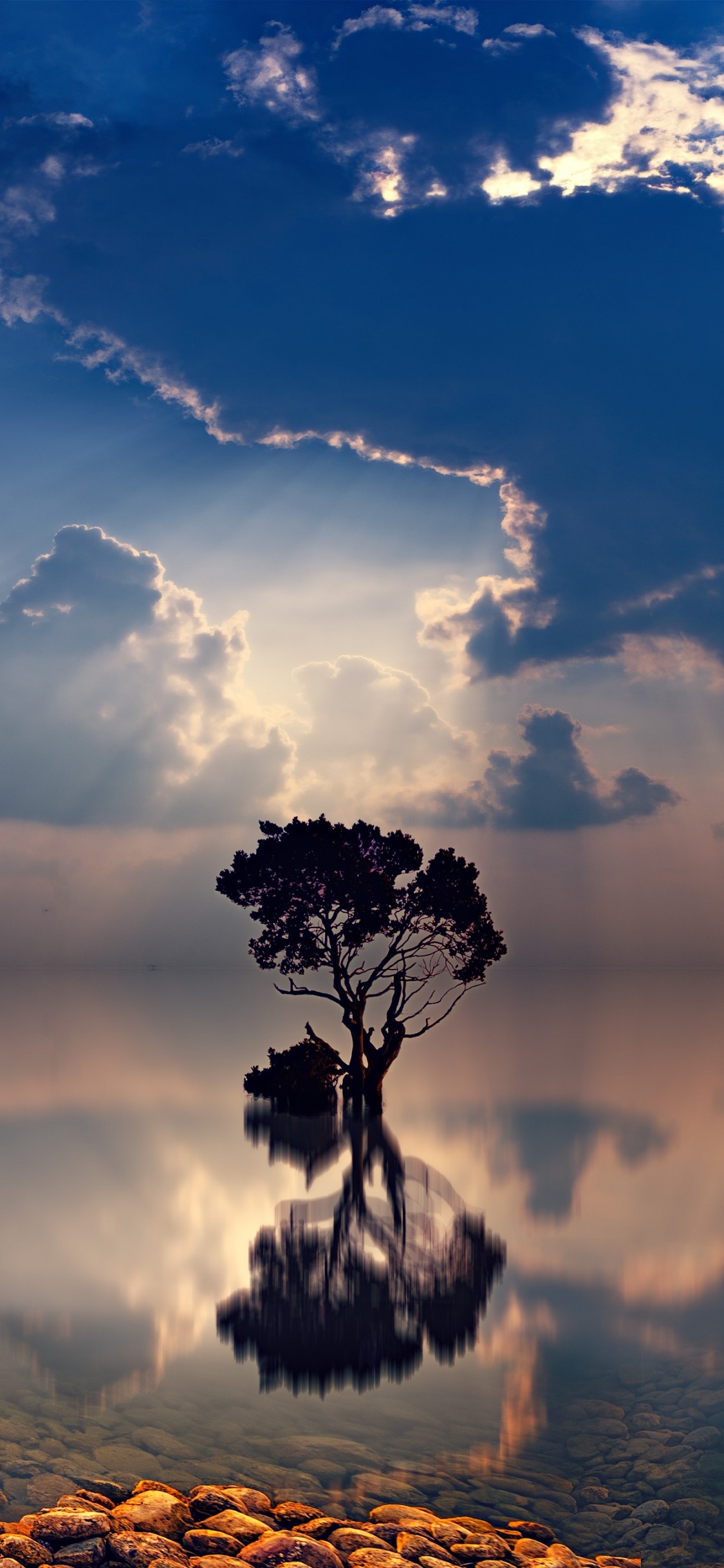 Обои облако, дерево, атмосфера, горизонт, утро в разрешении 1125x2436