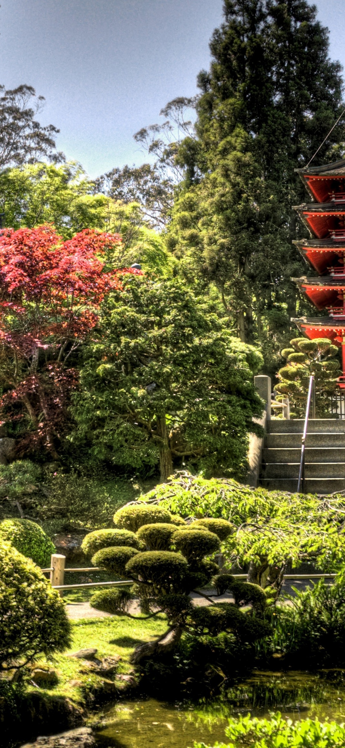 Обои Японский Чайный Сад, японский сад, сад, Япония, растительность в разрешении 1125x2436