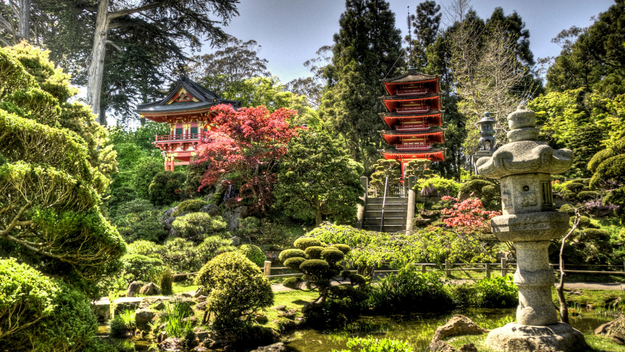 Обои Японский Чайный Сад, японский сад, сад, Япония, растительность в разрешении 1280x720