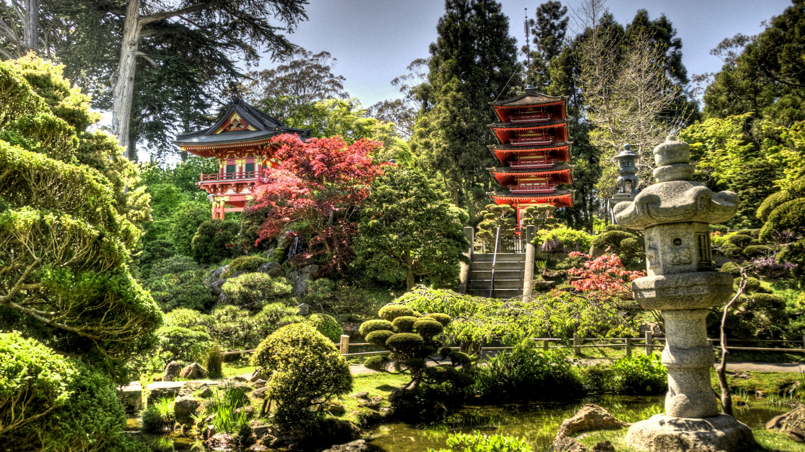 Обои Японский Чайный Сад, японский сад, сад, Япония, растительность в разрешении 2560x1440