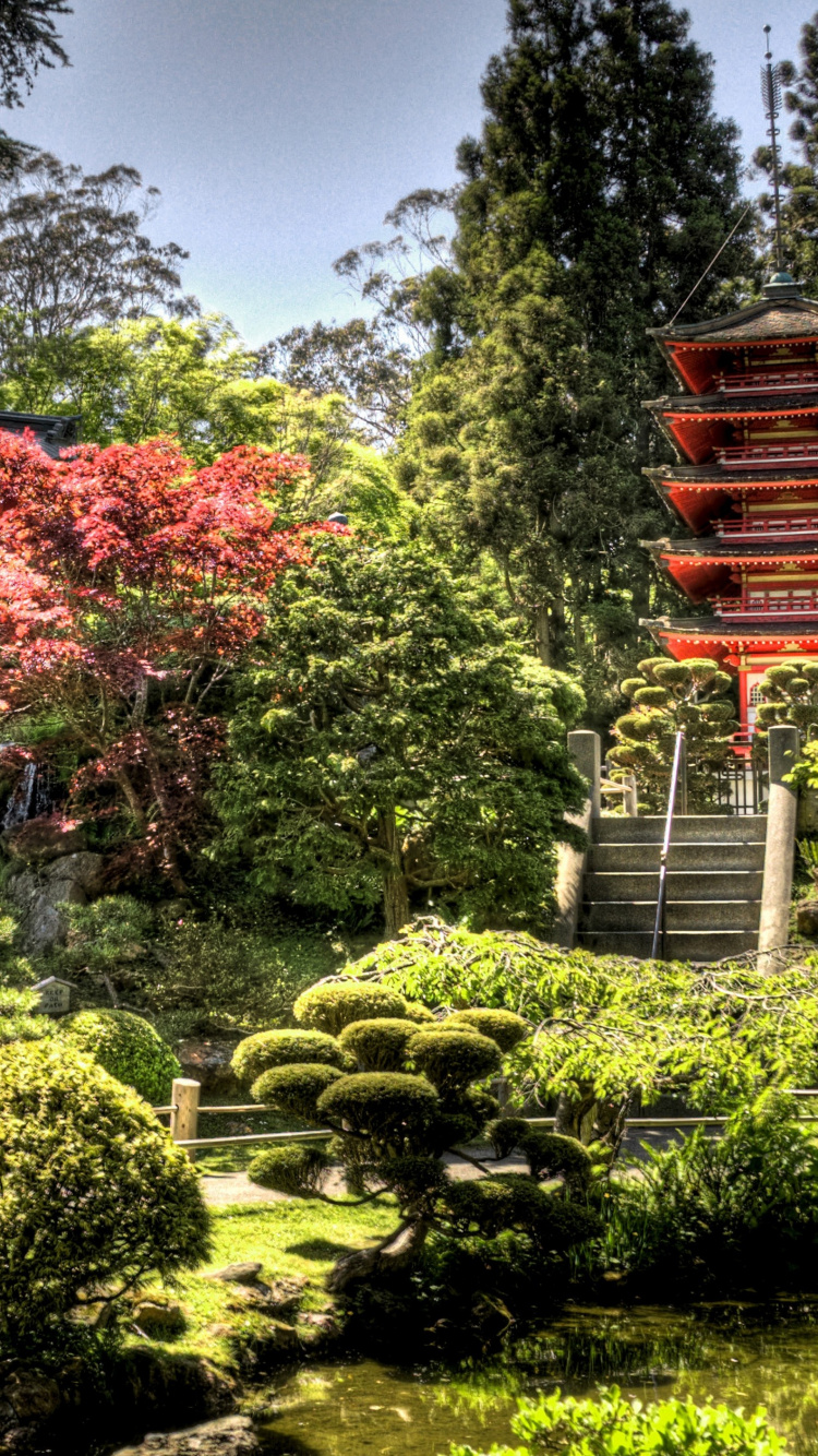 Обои Японский Чайный Сад, японский сад, сад, Япония, растительность в разрешении 750x1334
