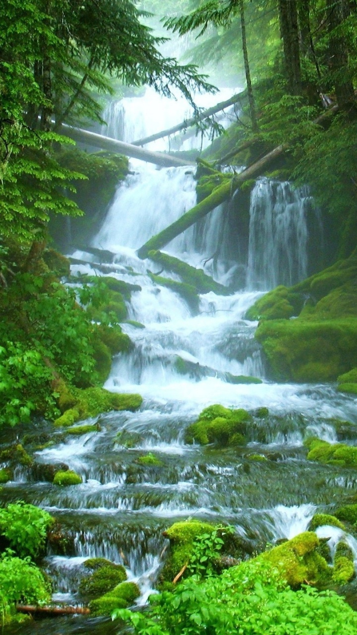 Обои водопад, природный заповедник, гидроресурсы, водоем, природа в разрешении 720x1280