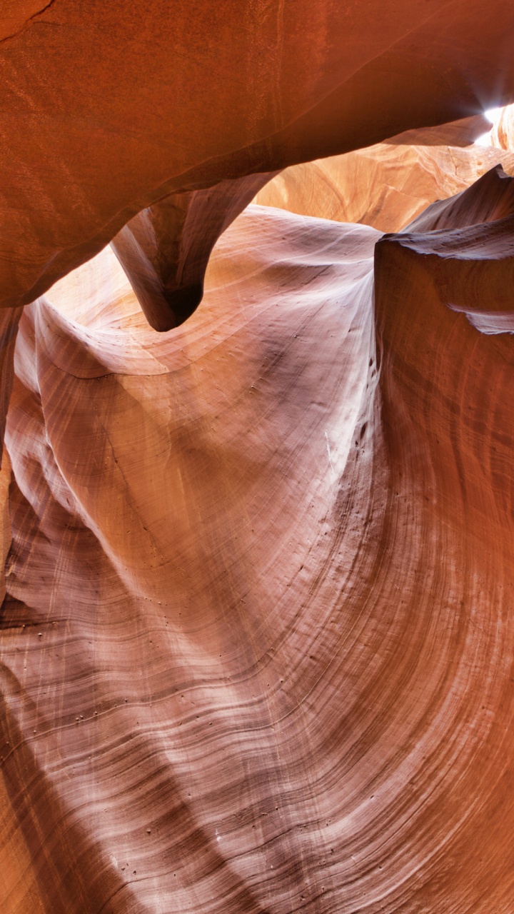 Обои каньон антилопы, каньон, формирование, геология, рок в разрешении 720x1280