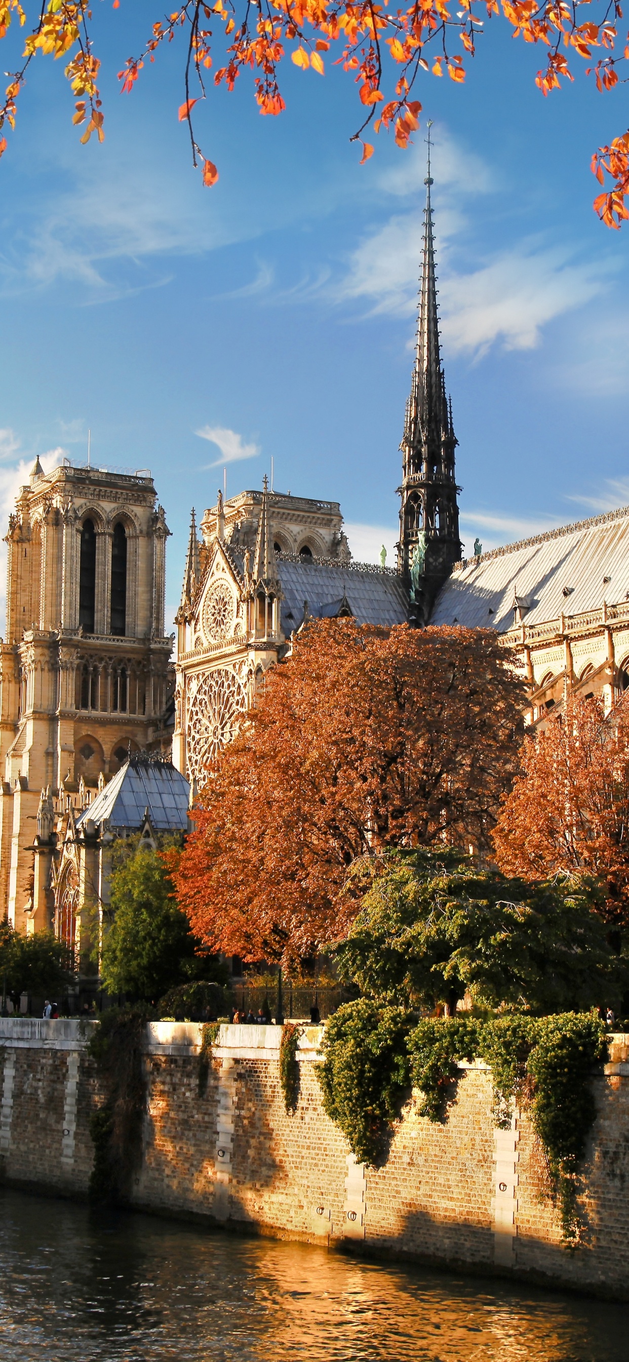 Обои НотрДам де Пари, сена, водный путь, церковь, достопримечательность в разрешении 1242x2688