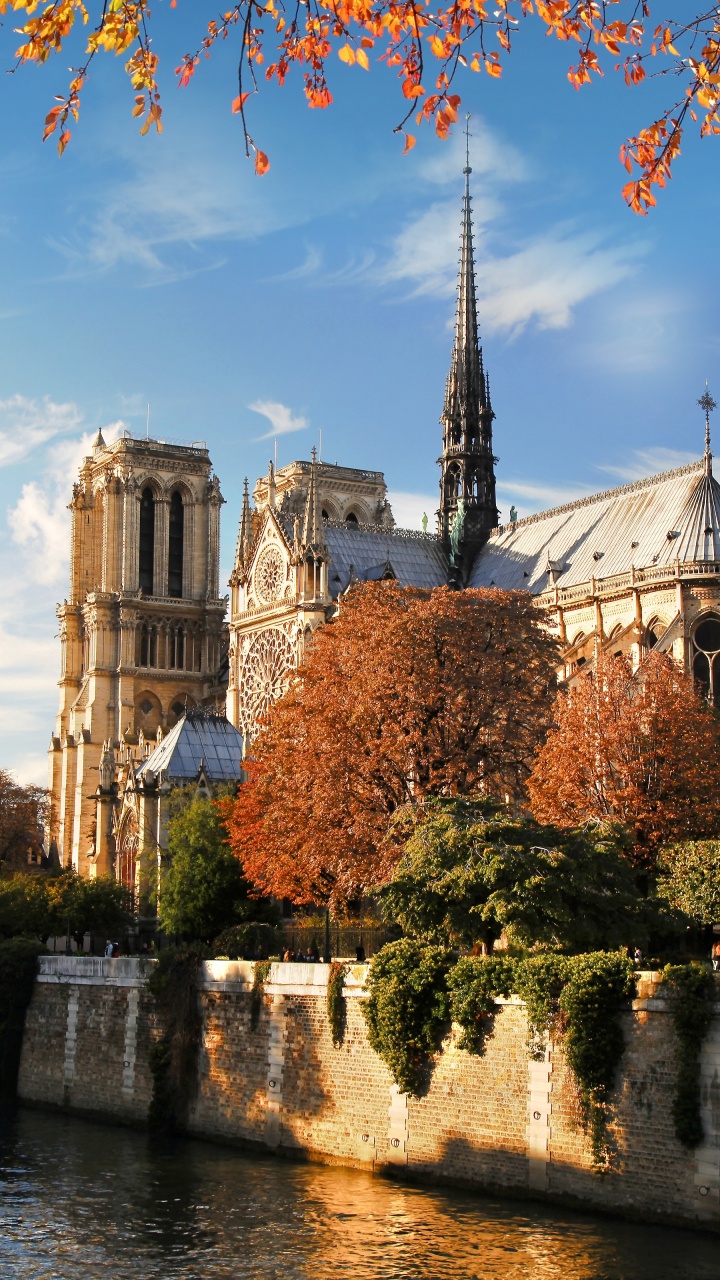 Обои НотрДам де Пари, сена, водный путь, церковь, достопримечательность в разрешении 720x1280