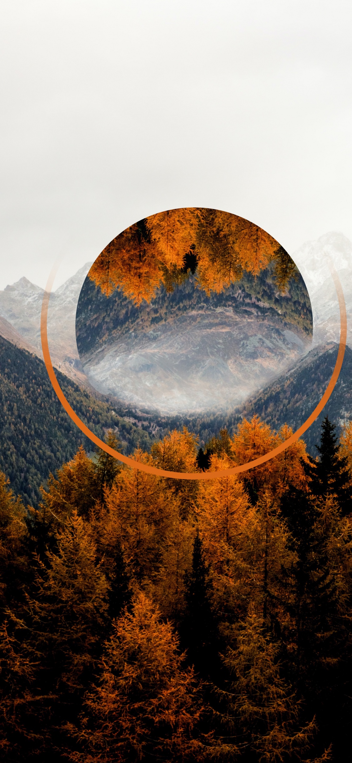 Обои осень, гора, облако, экорегион, природный ландшафт в разрешении 1125x2436