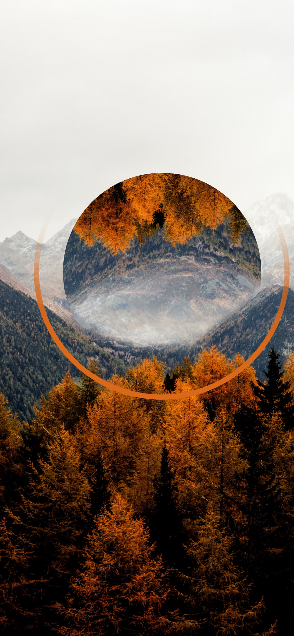 Обои осень, гора, облако, экорегион, природный ландшафт в разрешении 1242x2688