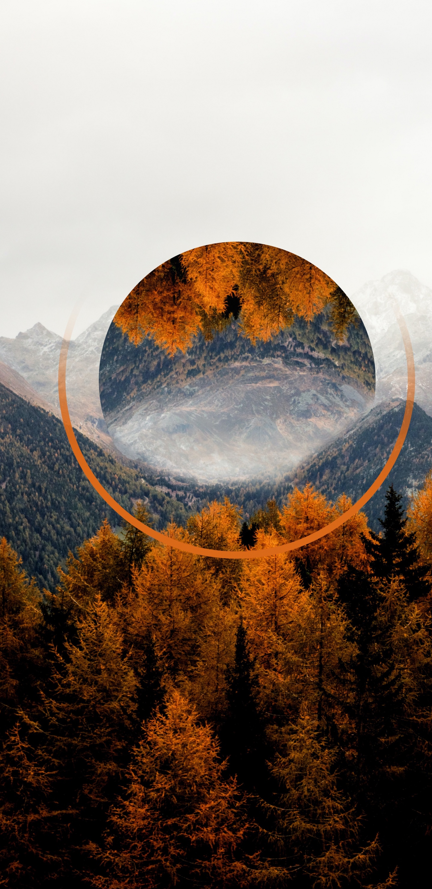 Обои осень, гора, облако, экорегион, природный ландшафт в разрешении 1440x2960