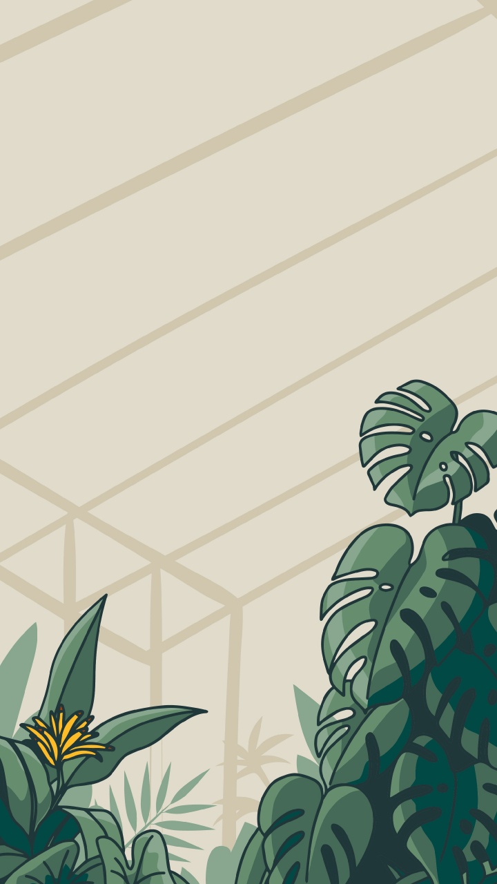 Обои визуальное искусство, Рокан Хулу Регентство, растение, лист, наземное растение в разрешении 720x1280