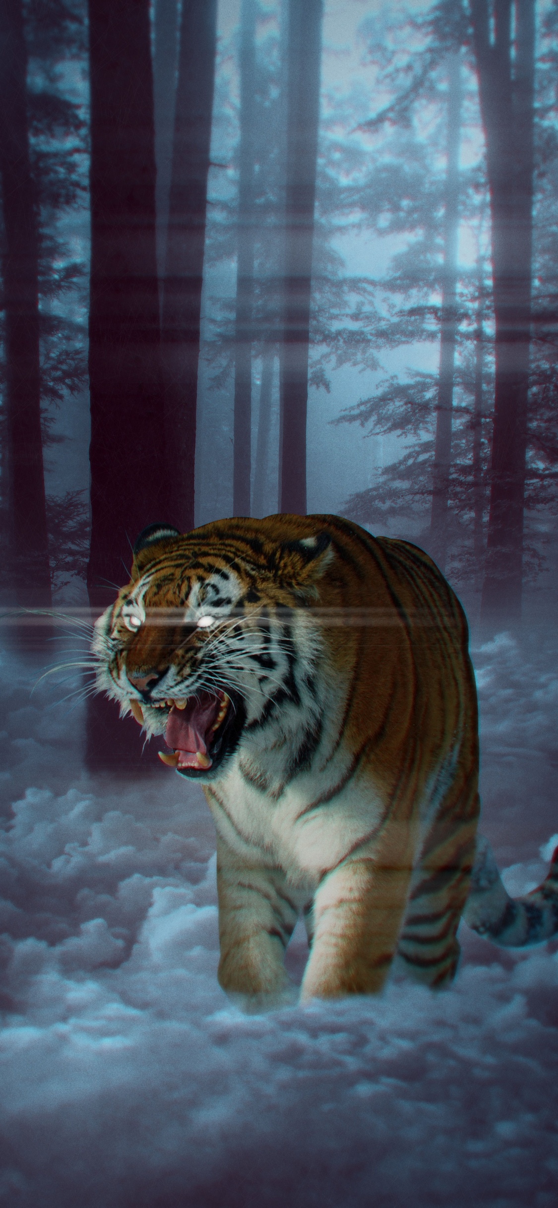 Обои кошачьих, бенгальский тигр, Амурский тигр, тигр, живая природа в разрешении 1125x2436