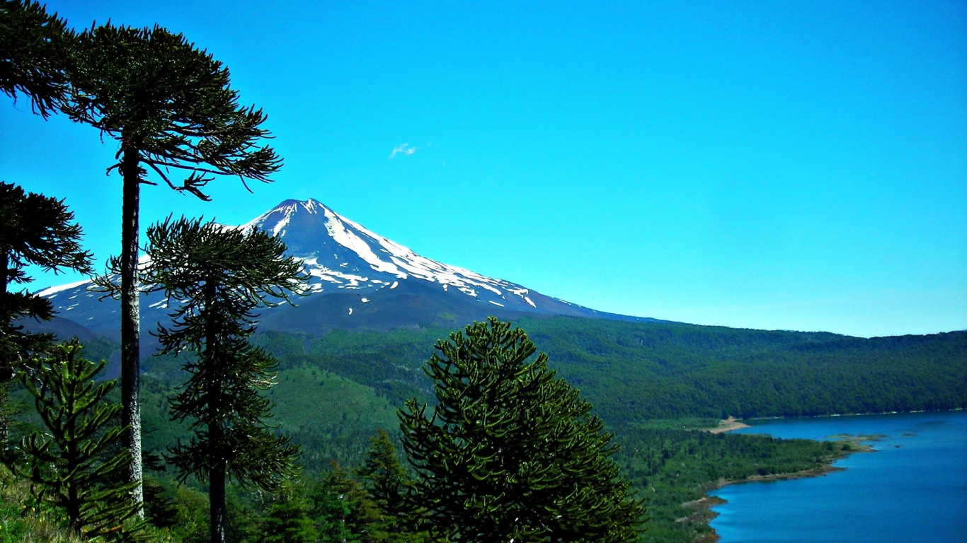 Обои природа, гора, горный рельеф, дикая местность, дерево в разрешении 1366x768