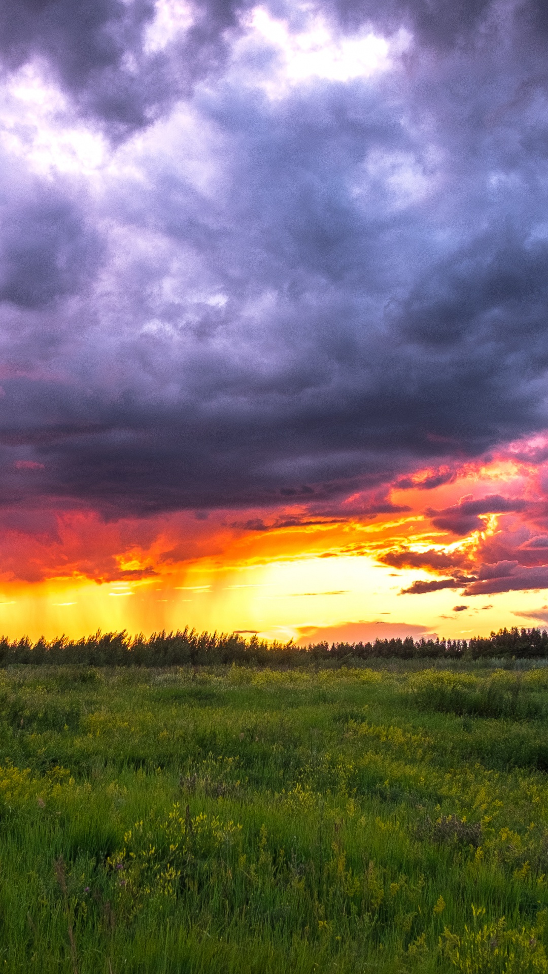 Обои Россия, закат, природа, облако, горизонт в разрешении 1080x1920