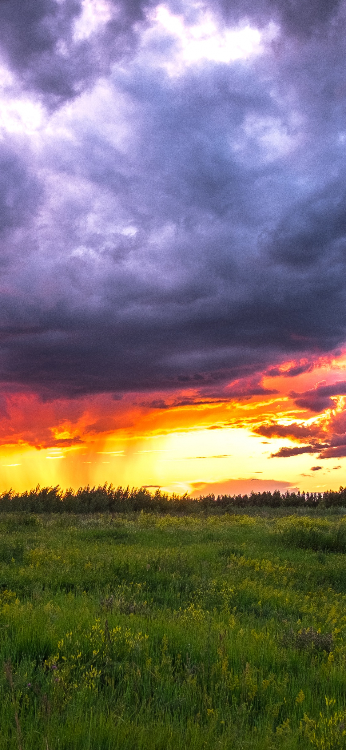 Обои Россия, закат, природа, облако, горизонт в разрешении 1125x2436