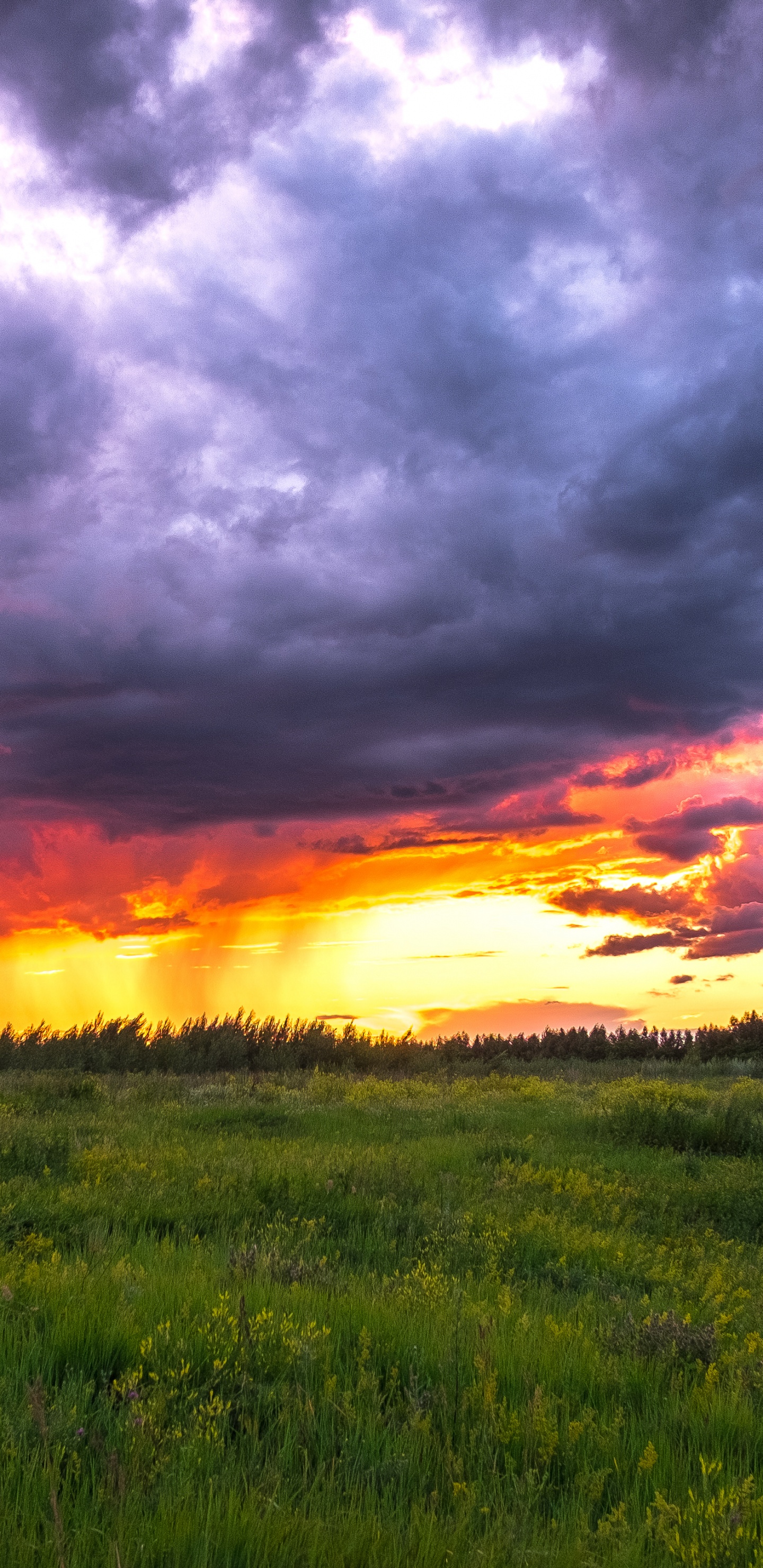 Обои Россия, закат, природа, облако, горизонт в разрешении 1440x2960