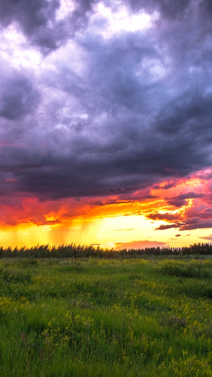 Обои Россия, закат, природа, облако, горизонт в разрешении 720x1280