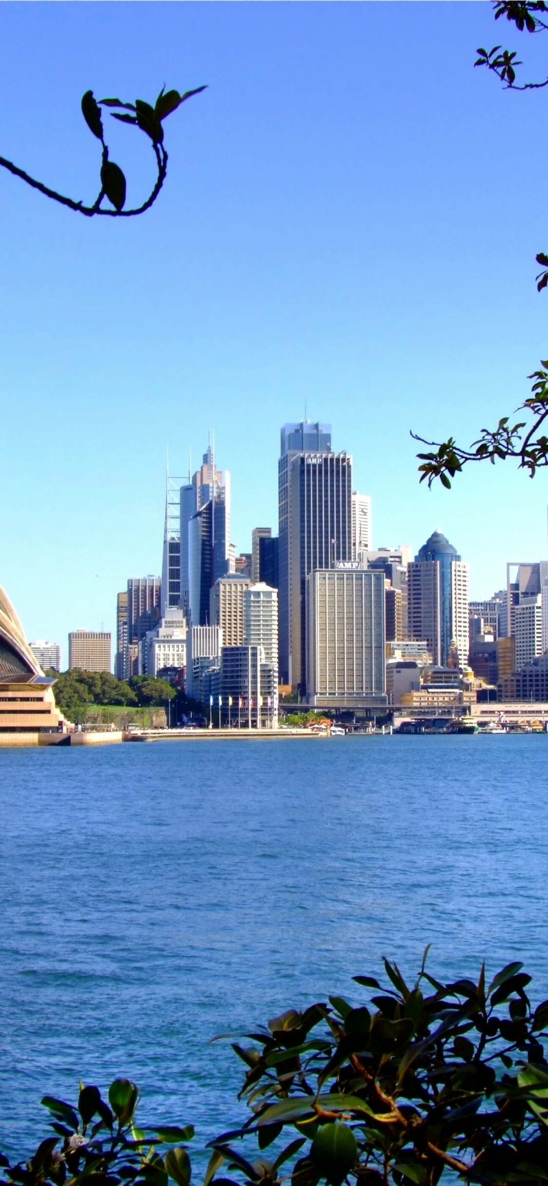 Обои сиднейский оперный театр, город, линия горизонта, дневное время, дерево в разрешении 1125x2436